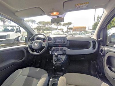Fiat Panda 1.0 firefly hybrid s&s 70cv 5p.ti (8)