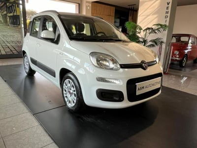 Fiat Panda 1.2 EasyPower Lounge usata