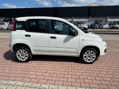Fiat Panda 0.9 TwinAir Turbo Natural Power Easy usata