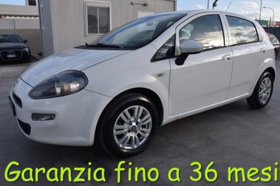 Fiat Punto 1.2 8V 5 porte Lounge usata