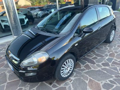 Fiat Punto Evo 1.3 Mjt 75 CV 5 porte Active usata