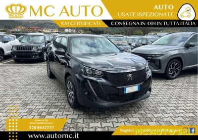 Peugeot 2008 BlueHDi 100 S&S Active usata