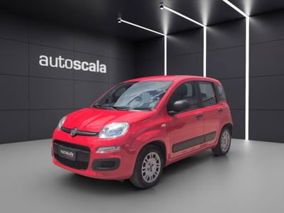 Fiat Panda 1.2 EasyPower Easy usata
