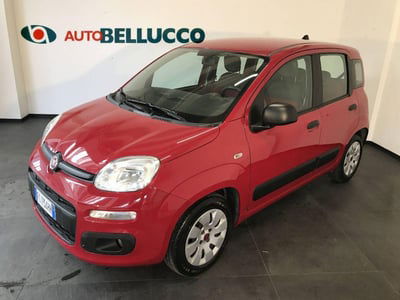 Fiat Panda 1.2 Easy usata