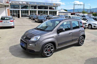 Fiat Panda 1.0 FireFly S&S Hybrid City Cross usata