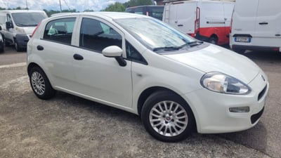 Fiat Punto 1.3 MJT 95CV S&S 5 porte Van 4 posti N1 usata