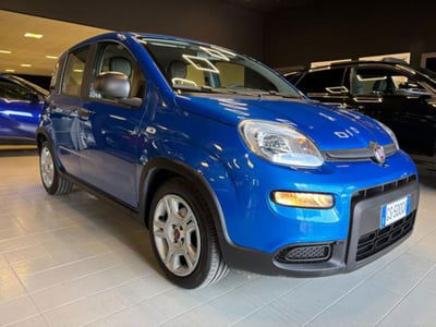 Fiat Panda 1.0 firefly hybrid s&s 70cv 5p.ti usata