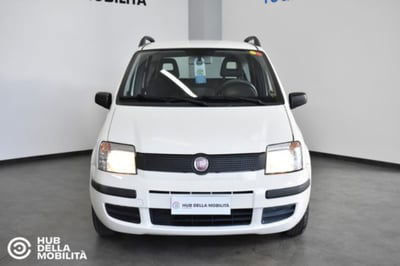 Fiat Panda 1.1 Active Eco usata