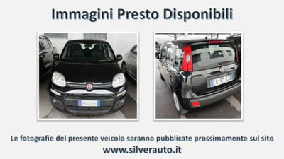 Fiat Panda 1.2 Easy usata