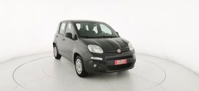 Fiat Panda 1.2 Easy usata