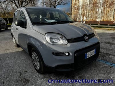Fiat Panda 1.0 firefly hybrid s&s 70cv 5p.ti usata