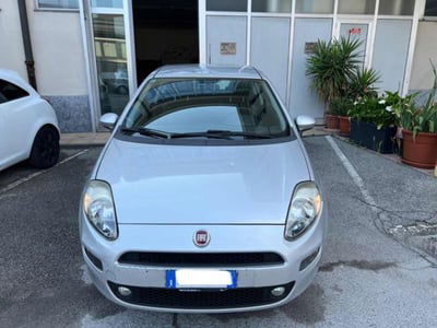 Fiat Punto 1.2 8V 3 porte Young usata