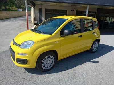 Fiat Panda 1.0 firefly hybrid s&s 70cv 5p.ti nuova