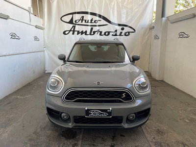 MINI Mini Countryman 1.5 Cooper 'ALL4' Countryman ALL4 (2)