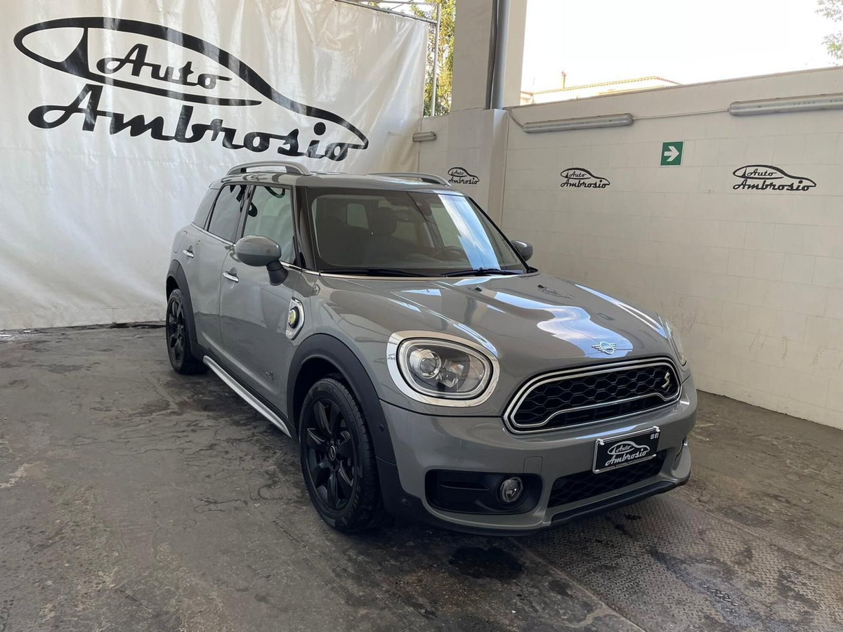 MINI Mini Countryman 1.5 Cooper 'ALL4' Countryman ALL4 (3)