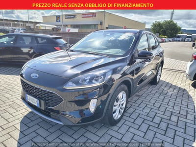 Ford Kuga 1.5 EcoBlue 120 CV 2WD ST-Line usata