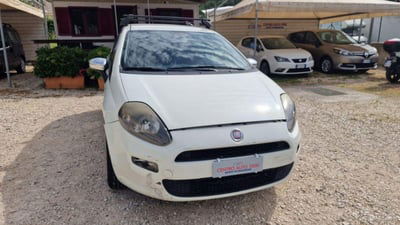 Fiat Punto 1.2 8V 5 porte Lounge usata