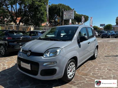 Fiat Panda 1.2 EasyPower Easy usata