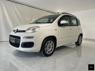 Fiat Panda 1.2 Lounge usata