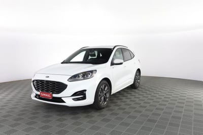Ford Kuga 2.0 EcoBlue 120 CV aut. 2WD ST-Line X usata