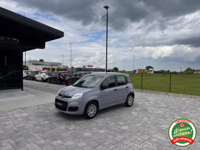Fiat Panda 1.2 EasyPower usata