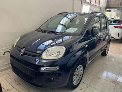 Fiat Panda 1.2 Lounge usata