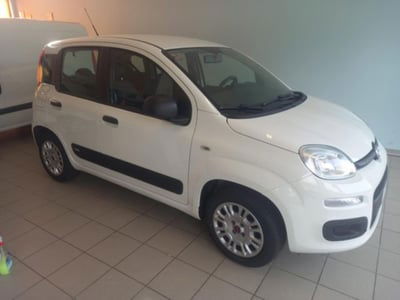 Fiat Panda 1.2 Easy usata