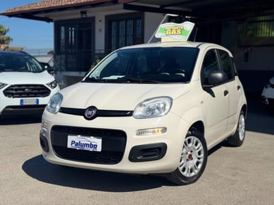 Fiat Panda 1.2 EasyPower Lounge usata