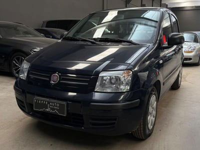 Fiat Panda 1.2 usata