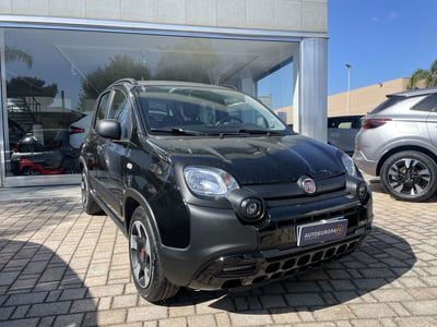 Fiat Panda 1.0 FireFly S&S Hybrid City Cross usata