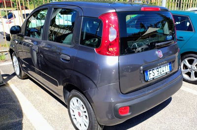 Fiat Panda 1.2 EasyPower Easy usata