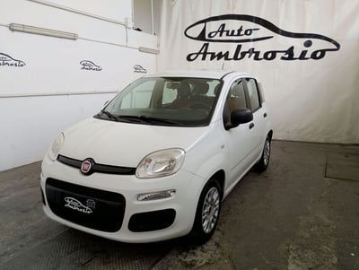 Fiat Panda 1.3 MJT 95 CV S&S Easy usata