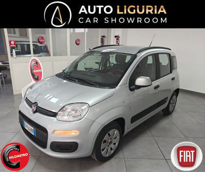 Fiat Panda 1.2 Easy usata