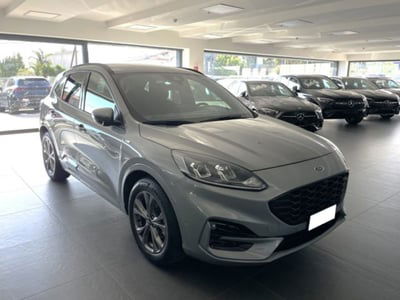 Ford Kuga 1.5 EcoBlue 120 CV 2WD ST-Line usata