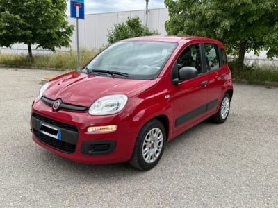 Fiat Panda 1.2 Easy usata