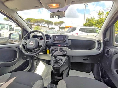 Fiat Panda 1.0 firefly hybrid s&s 70cv 5p.ti (11)