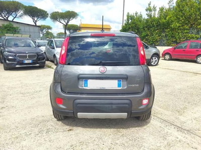 Fiat Panda 1.0 firefly hybrid s&s 70cv 5p.ti (19)