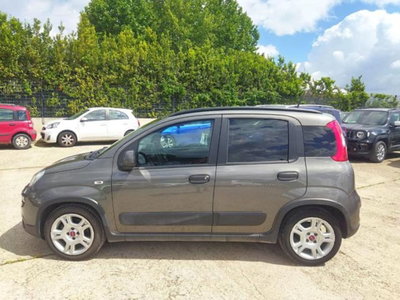 Fiat Panda 1.0 firefly hybrid s&s 70cv 5p.ti (6)