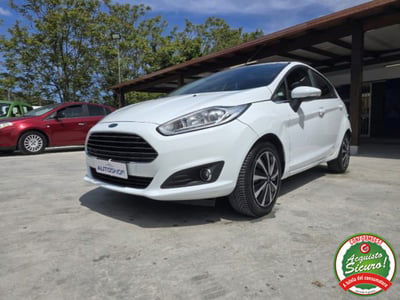 Ford Fiesta 1.5 TDCi 75CV 5 porte Titanium usata