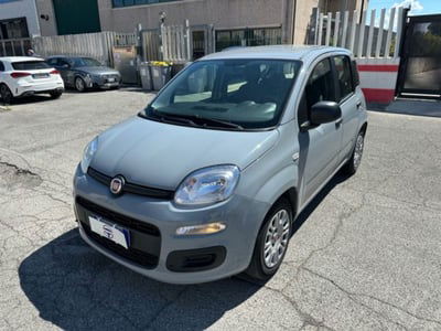 Fiat Panda 1.2 Lounge usata