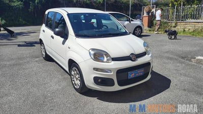 Fiat Panda 1.2 Easy usata