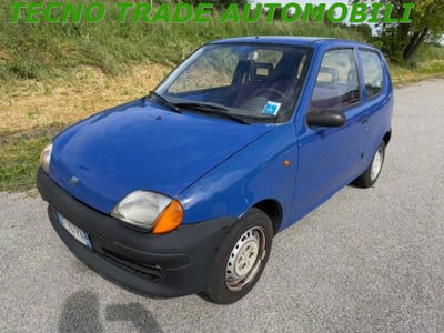 Fiat Seicento 900i cat Young