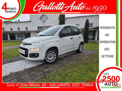 Fiat Panda 1.2 Easy usata
