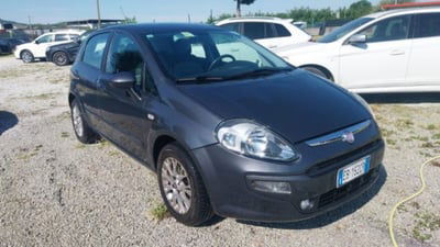 Fiat Punto Evo 1.4 5 porte Active GPL usata
