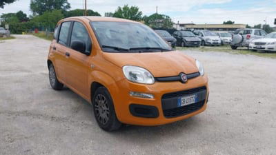 Fiat Panda 1.2 EasyPower Lounge usata