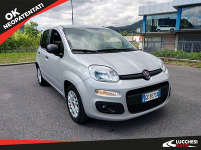 Fiat Panda 1.2 Easy Van 4 posti usata