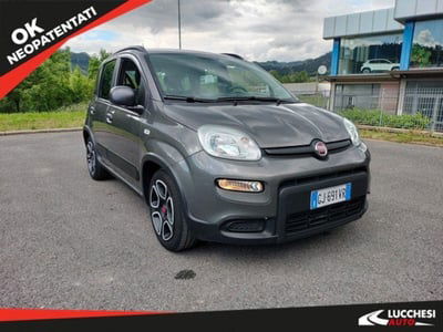Fiat Panda 1.0 FireFly S&S Hybrid City Cross usata