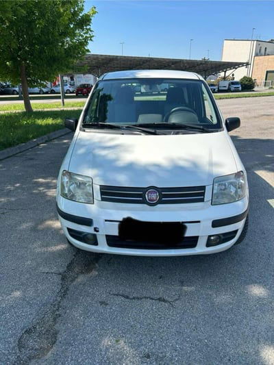 Fiat Panda 1.2 4x4 usata