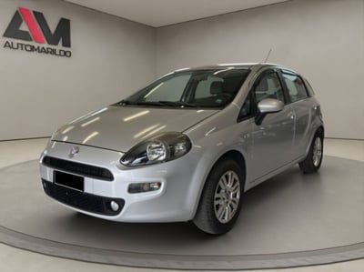 Fiat Punto 1.2 8V 5 porte Easy usata