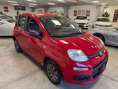 Fiat Panda 1.2 Pop usata
